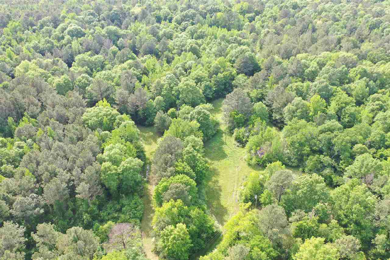 0 Free Union Road Pickens, MS 39146 - Photo 15 of 39 Photo 15