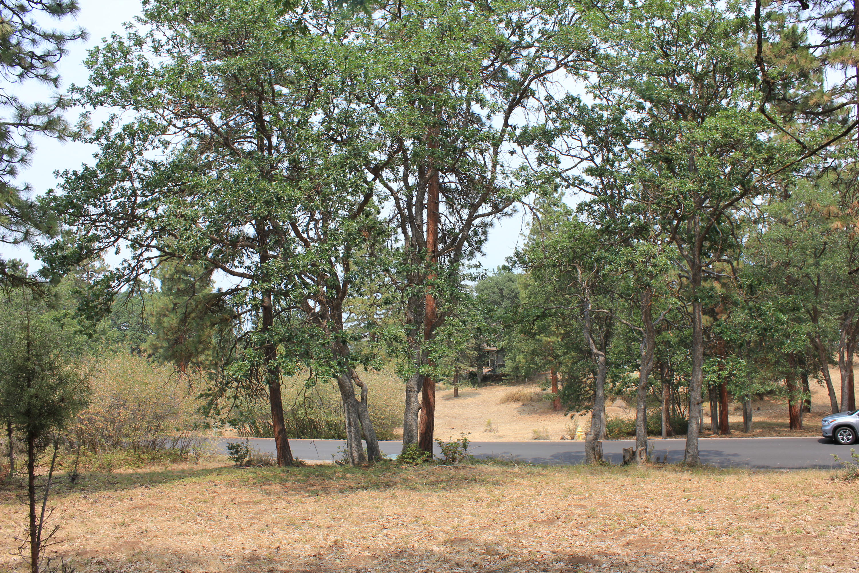 Redstart Road, Unit LOT899 Klamath Falls, OR 97601 - Photo 7 of 9 IMG_8094