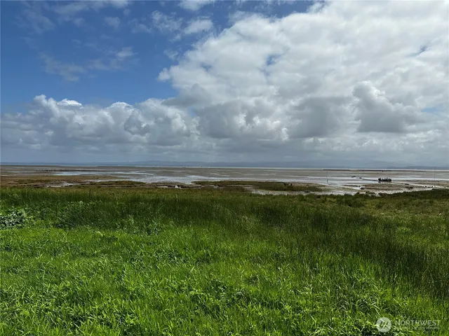 a view of an ocean and beach