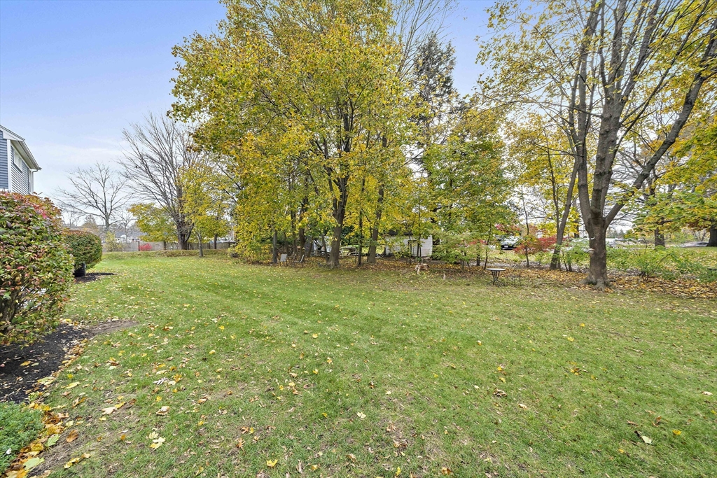 501 Auburn Street, Unit 404 Whitman, MA 02382 - Photo 30 of 35 a view of yard with trees