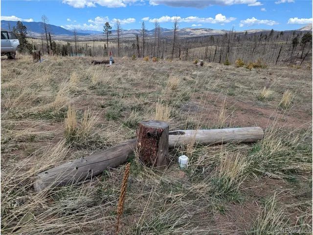a view of a dry yard with wooden fence