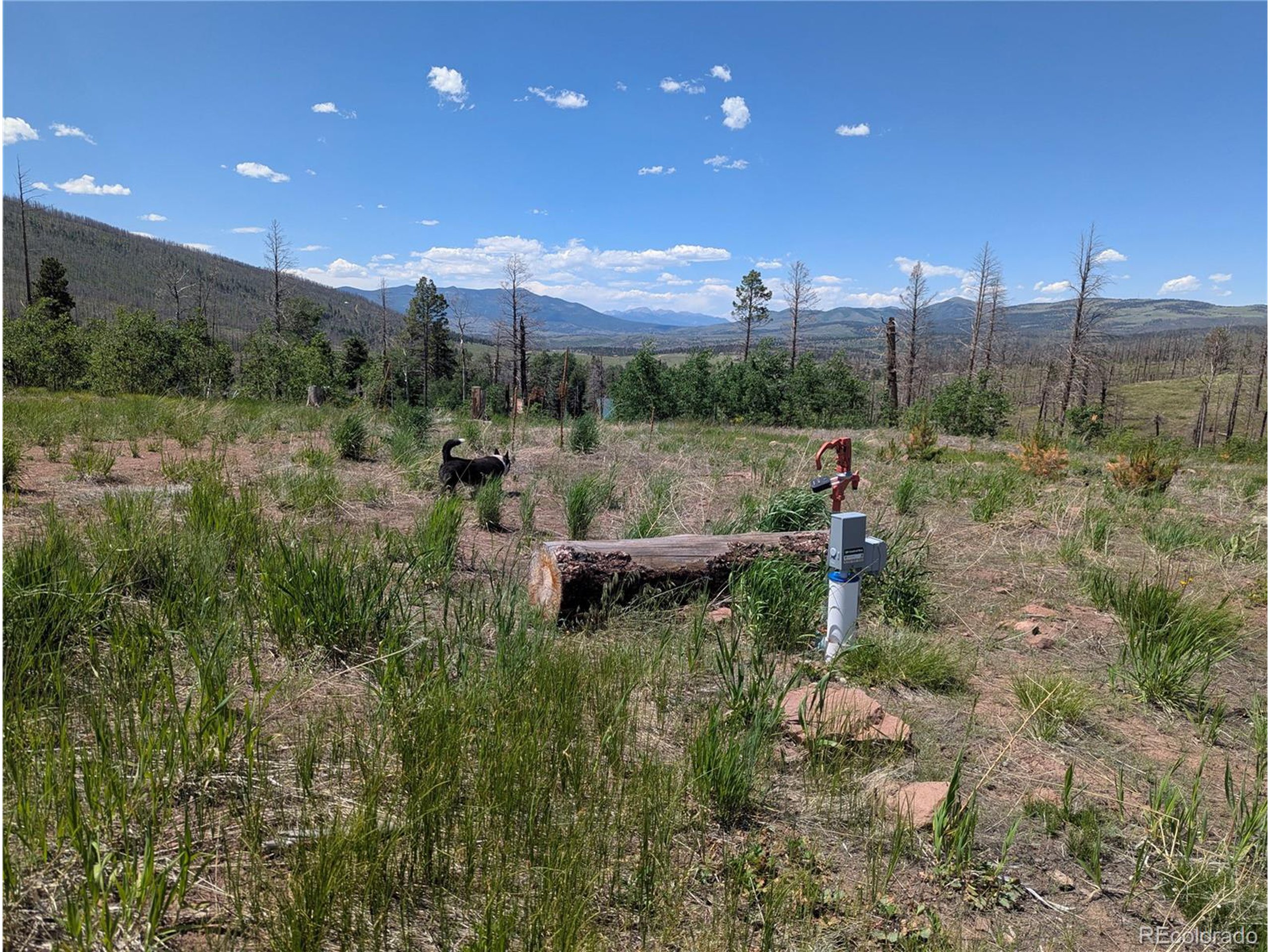 904 Forbes Park Road Fort Garland, CO 81133 - Photo 6 of 16 a large body of water with a tree in the background