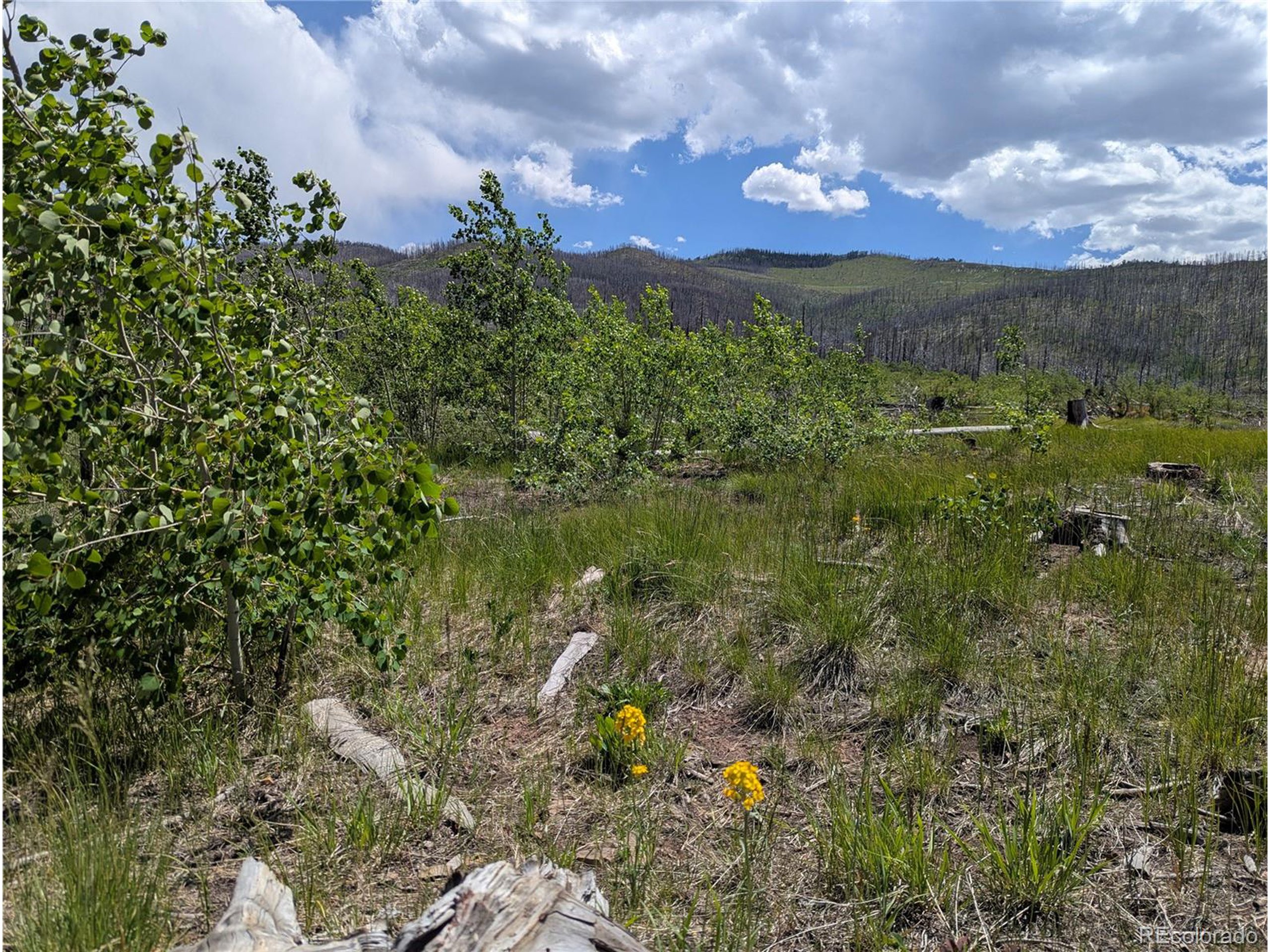 904 Forbes Park Road Fort Garland, CO 81133 - Photo 9 of 16 a view of a lake