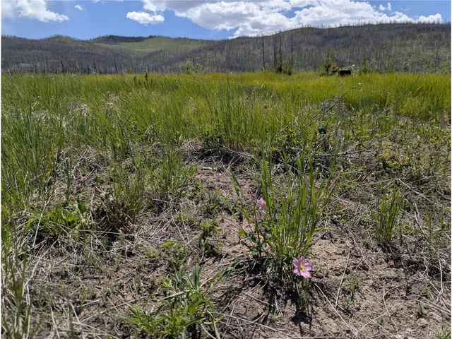 a view of a lush green outdoor space with a lake view