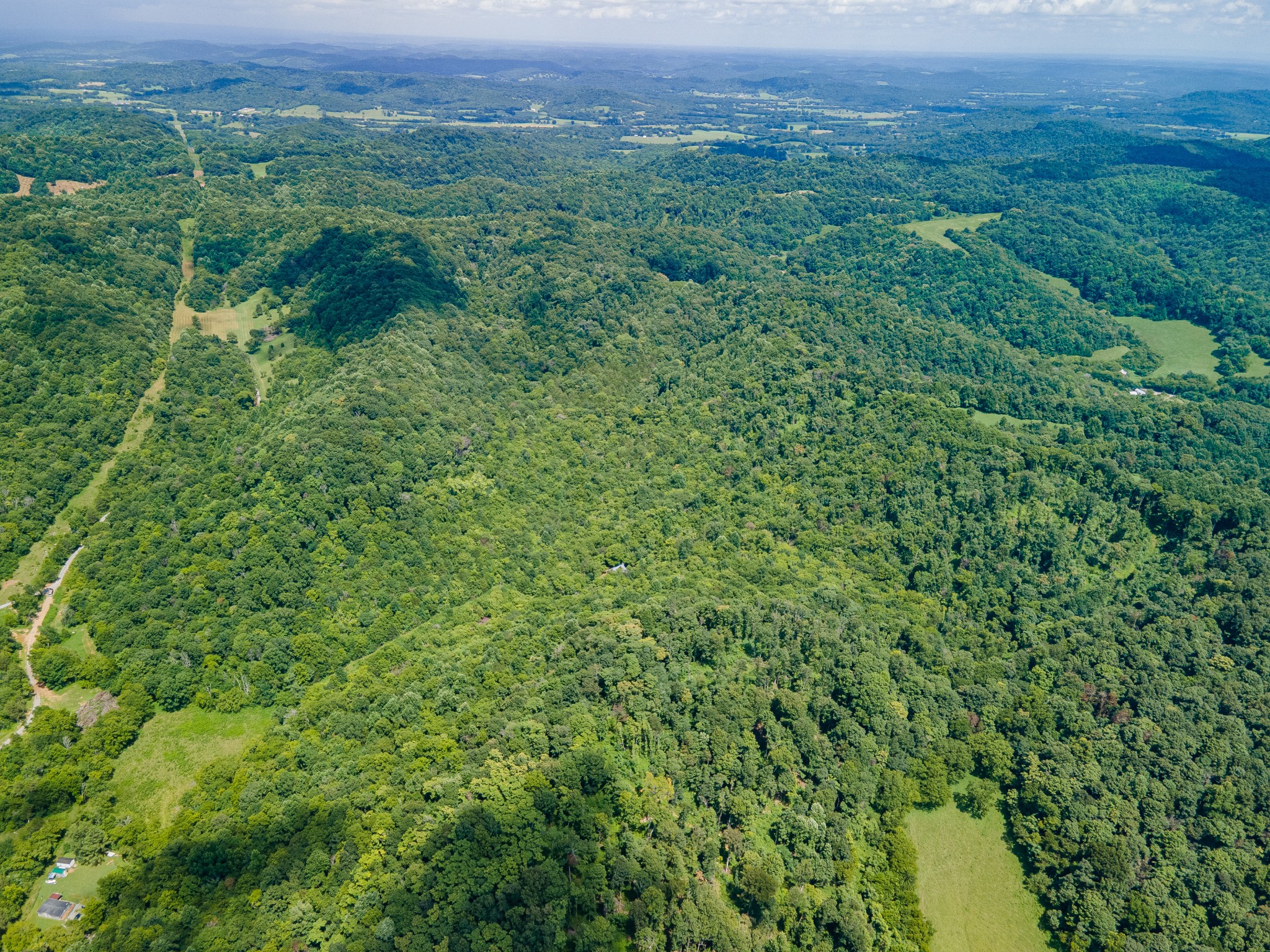 1700 Allen Brown Road Lewisburg, TN 37091 - Photo 19 of 80