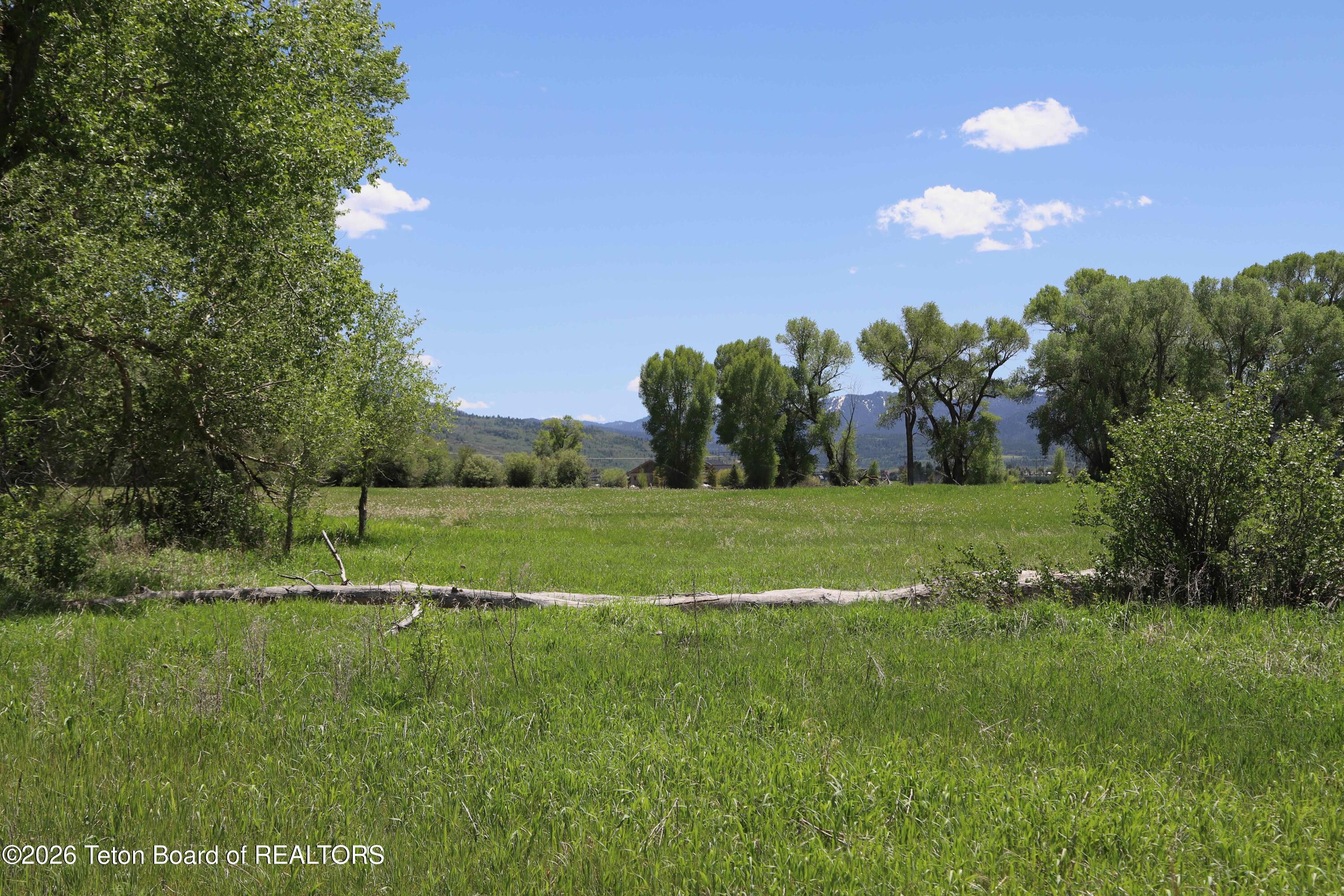 1234 Dairy Court Victor, ID 83455 - Photo 4 of 14 Summers 2-7806