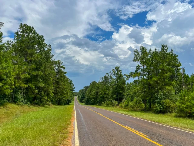 a view of a yard with plants and a trees