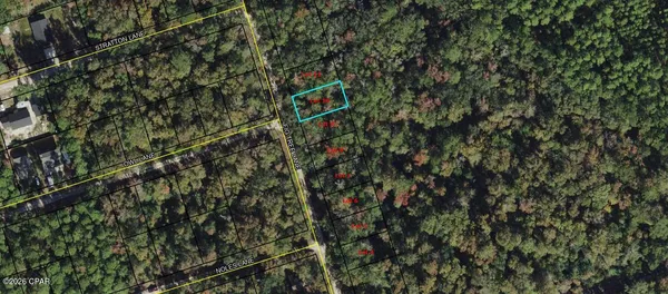 $12,000 | Lot 10 Fig Tree Lane, Crawfordville, FL 32327