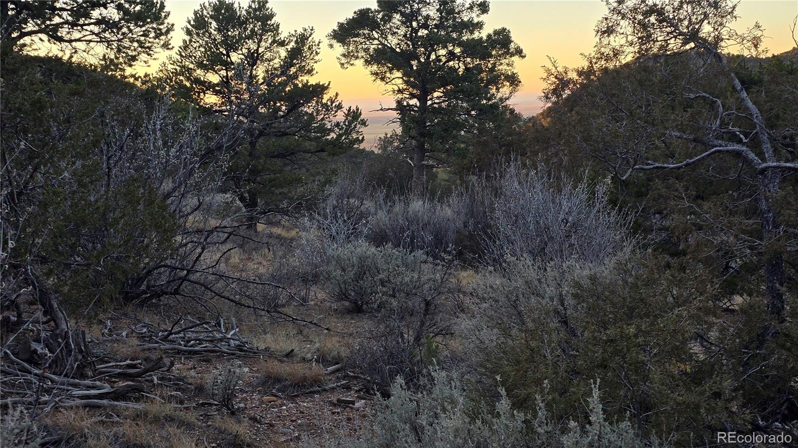 Lot 5106 Redler Road Fort Garland, CO 81133 - Photo 13 of 26 a view of a forest in a forest