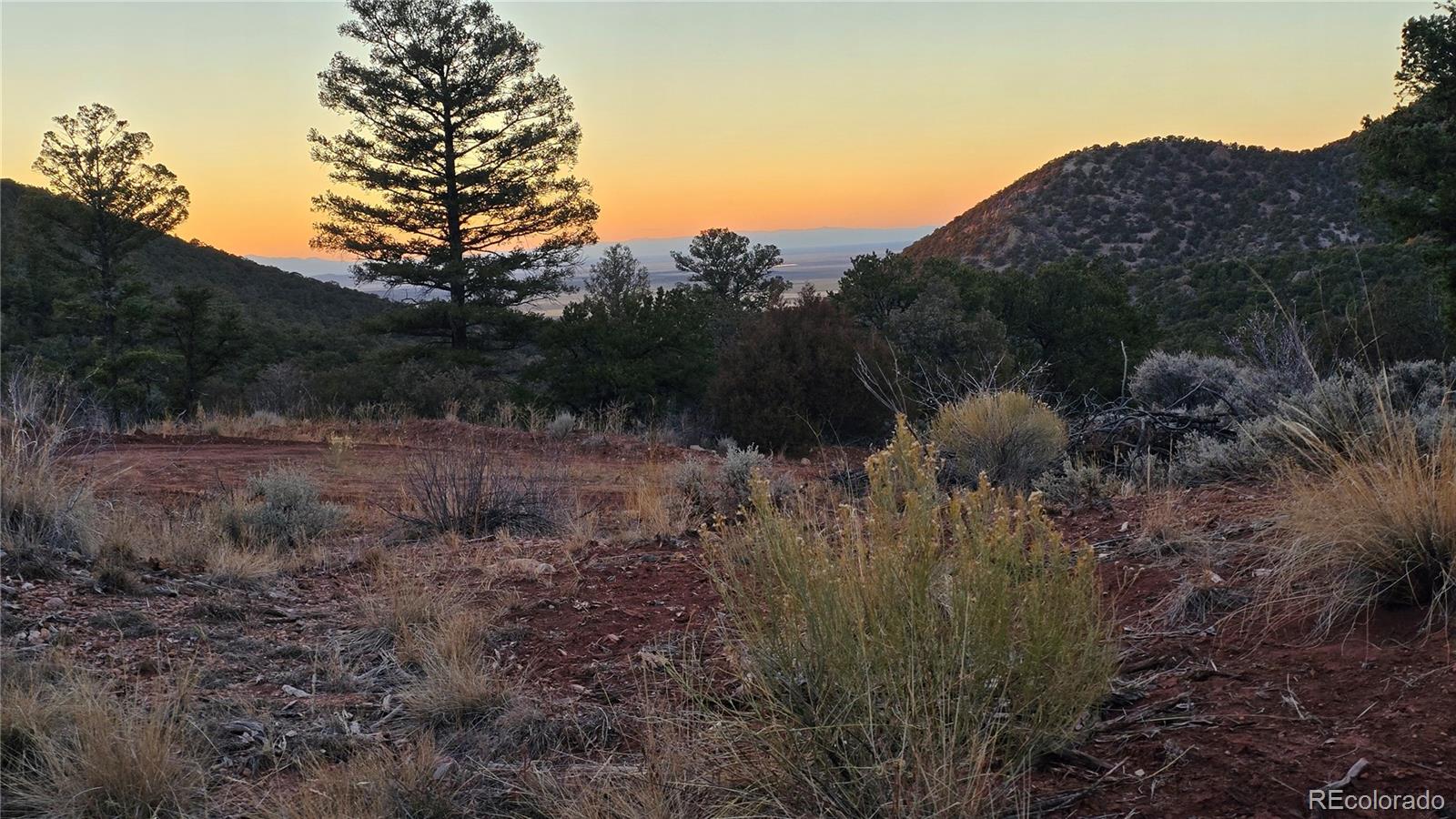 Lot 5106 Redler Road Fort Garland, CO 81133 - Photo 14 of 26 a view of a dry yard with green space