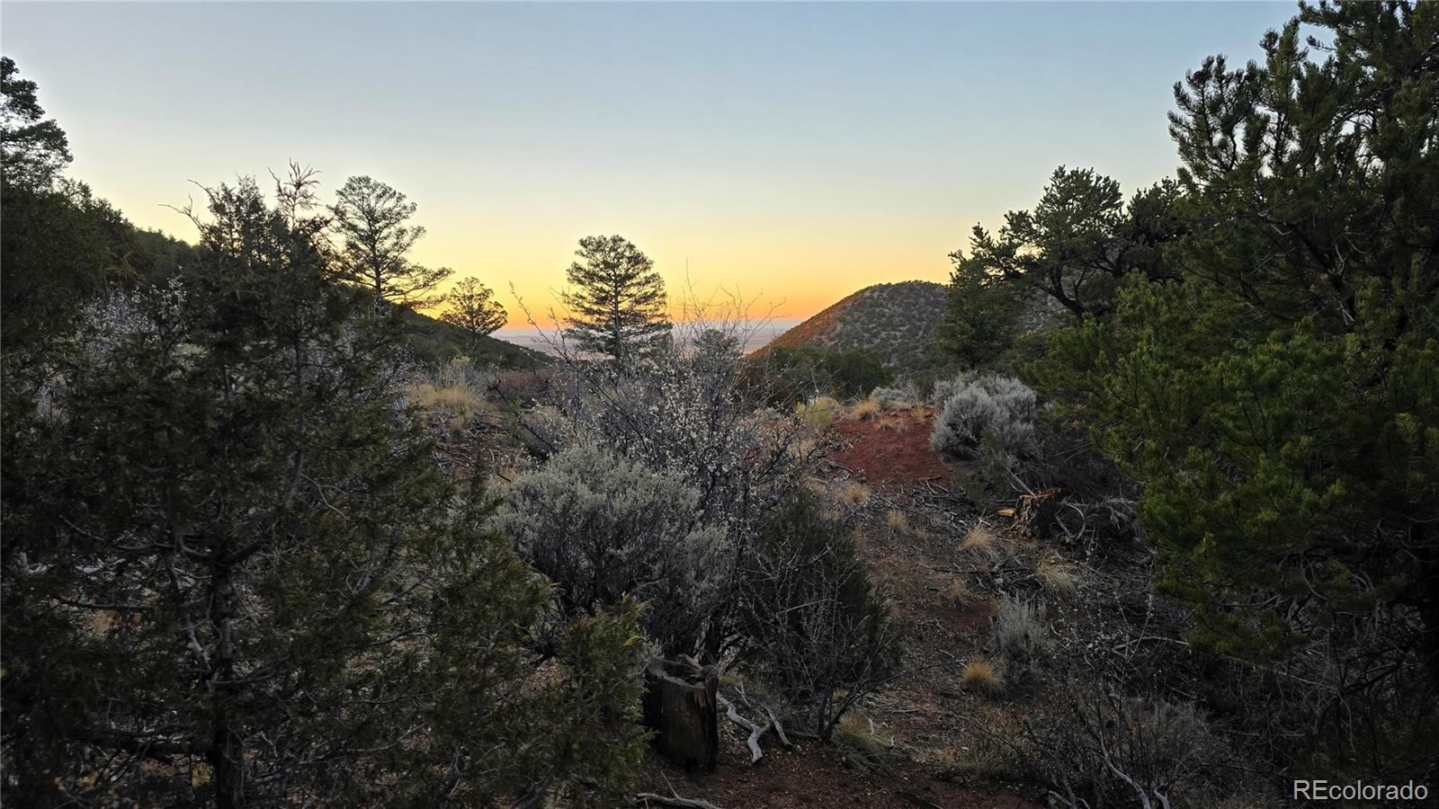 Lot 5106 Redler Road Fort Garland, CO 81133 - Photo 15 of 26 a view of a city with lush green forest
