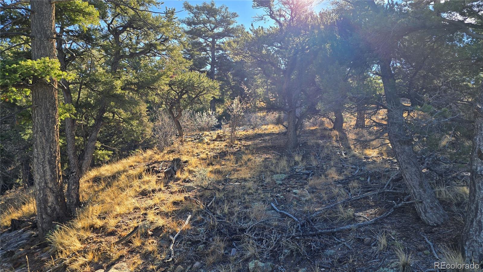 Lot 5106 Redler Road Fort Garland, CO 81133 - Photo 17 of 26