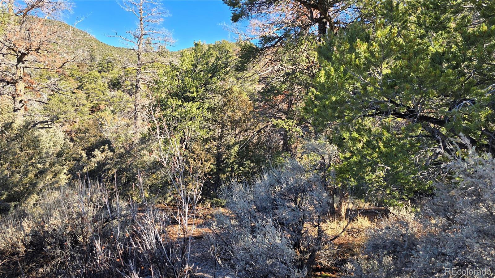 Lot 5106 Redler Road Fort Garland, CO 81133 - Photo 23 of 26 a view of a yard