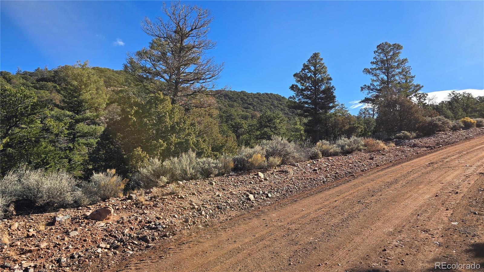 Lot 5106 Redler Road Fort Garland, CO 81133 - Photo 24 of 26 a view of a yard with a tree