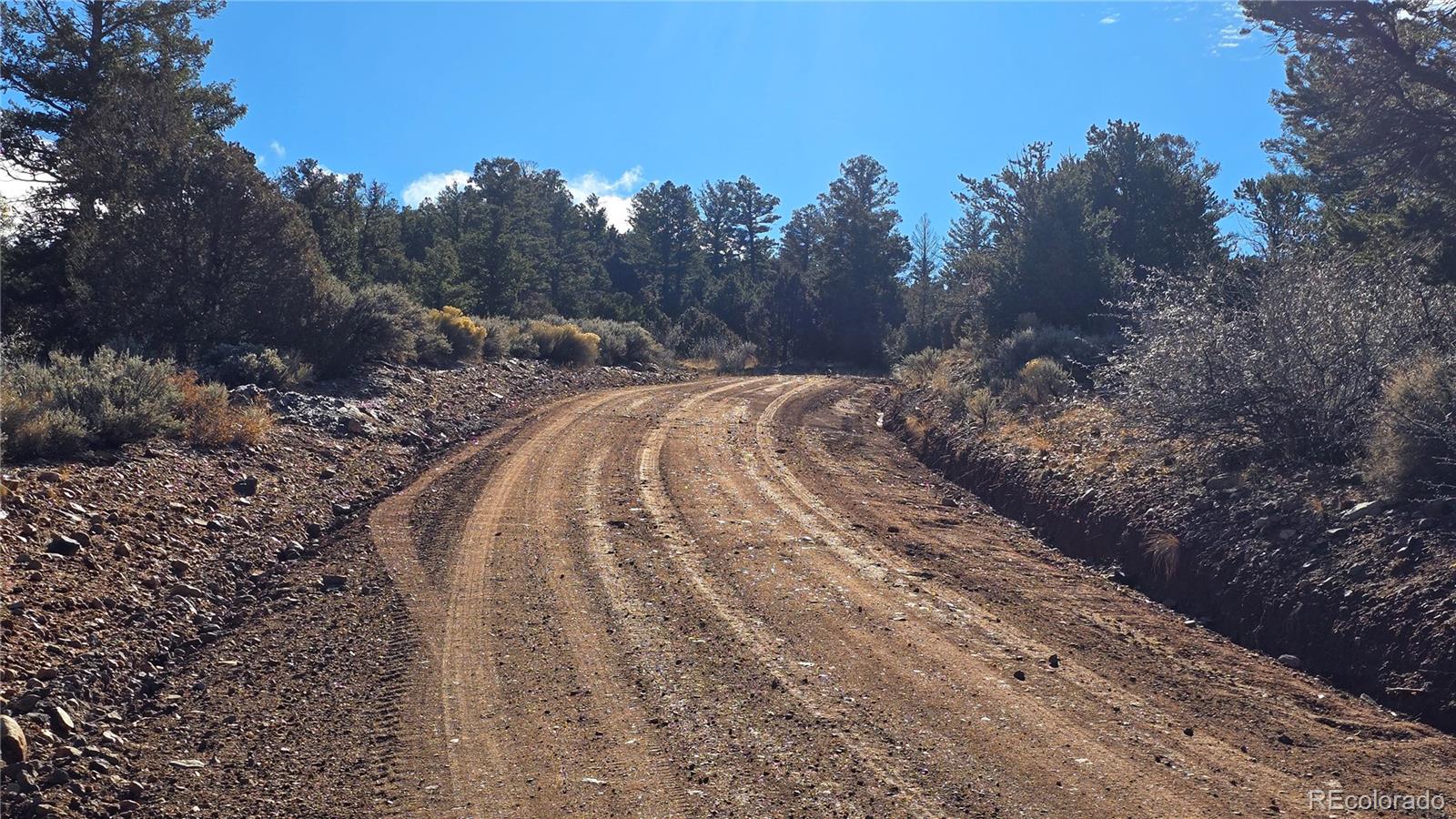 Lot 5106 Redler Road Fort Garland, CO 81133 - Photo 25 of 26 a view of a dry yard with trees in the background