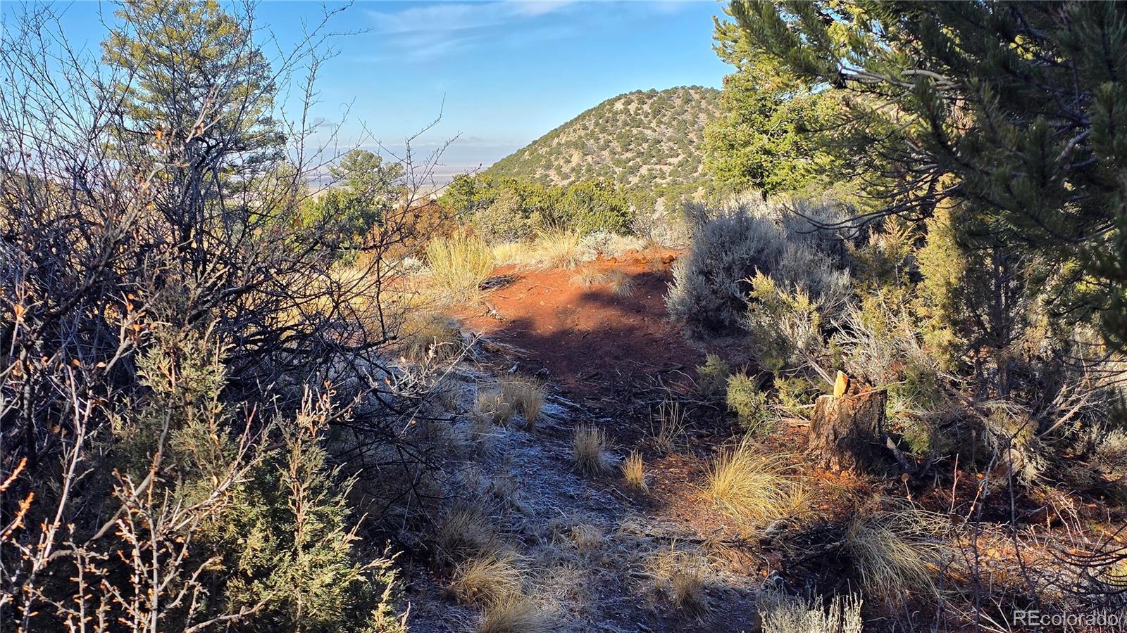 Lot 5106 Redler Road Fort Garland, CO 81133 - Photo 7 of 26 a view of a yard