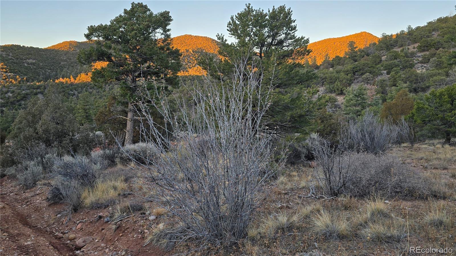 Lot 5106 Redler Road Fort Garland, CO 81133 - Photo 9 of 26 a view of a dry yard