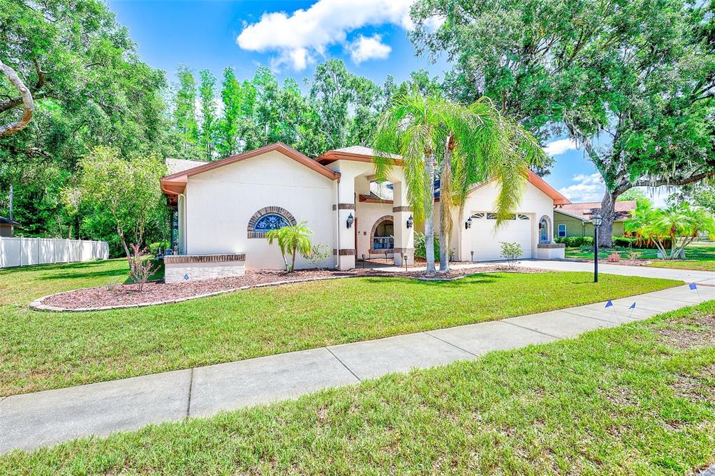 9757 Hermosillo Drive New Port Richey, FL 34655 - Photo 38 of 55