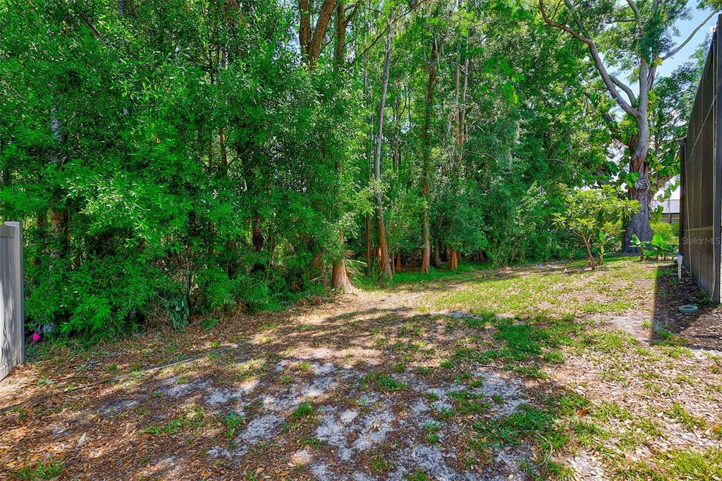 9757 Hermosillo Drive New Port Richey, FL 34655 - Photo 49 of 55