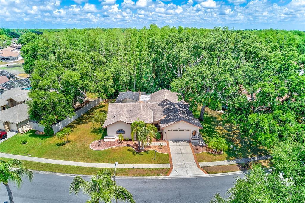 9757 Hermosillo Drive New Port Richey, FL 34655 - Photo 50 of 55