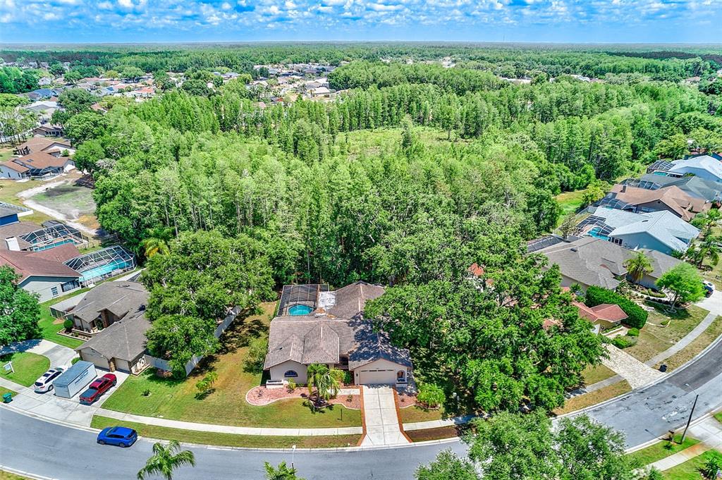 9757 Hermosillo Drive New Port Richey, FL 34655 - Photo 51 of 55