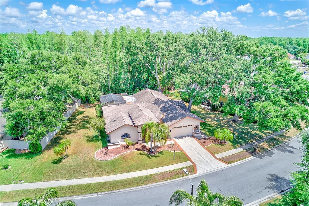 9757 Hermosillo Drive New Port Richey, FL 34655 - Photo 52 of 55