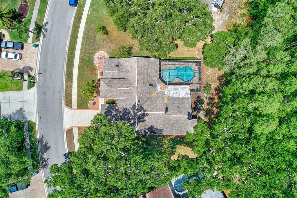 9757 Hermosillo Drive New Port Richey, FL 34655 - Photo 53 of 55