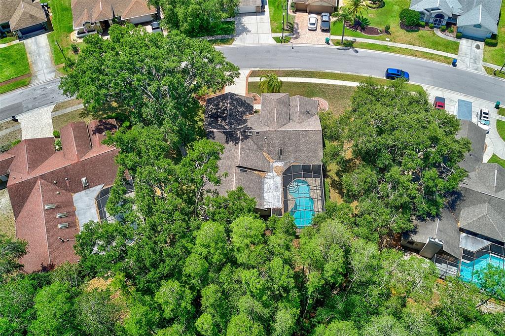 9757 Hermosillo Drive New Port Richey, FL 34655 - Photo 54 of 55