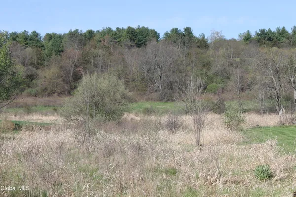 $49,000 | 2 D Bullock Road, New Scotland, NY 12159