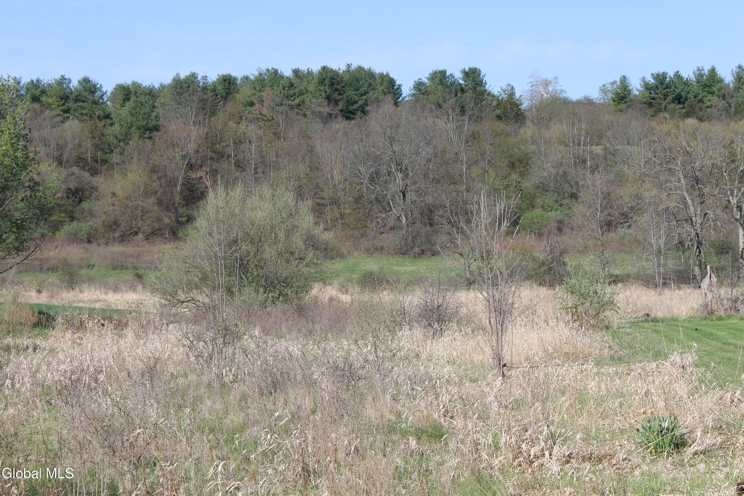 2 D Bullock Road New Scotland, NY 12159 - Photo 1 of 16 IMG_5050