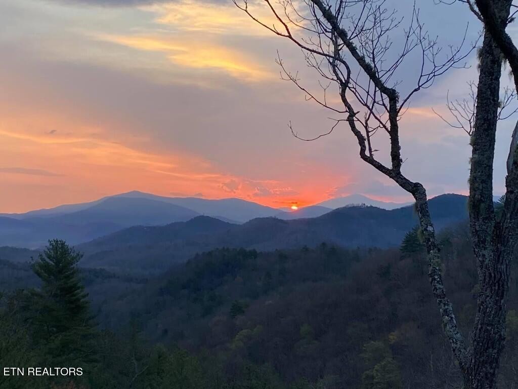 225 Kelly Ridge Road Townsend, TN 37882 - Photo 13 of 51