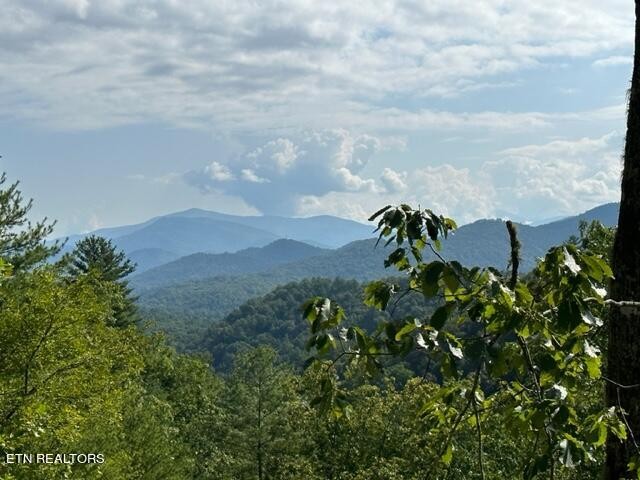 225 Kelly Ridge Road Townsend, TN 37882 - Photo 48 of 51