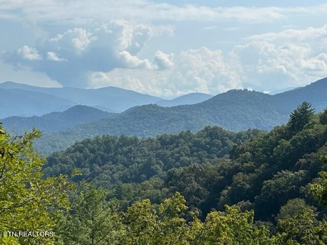 225 Kelly Ridge Road Townsend, TN 37882 - Photo 49 of 51