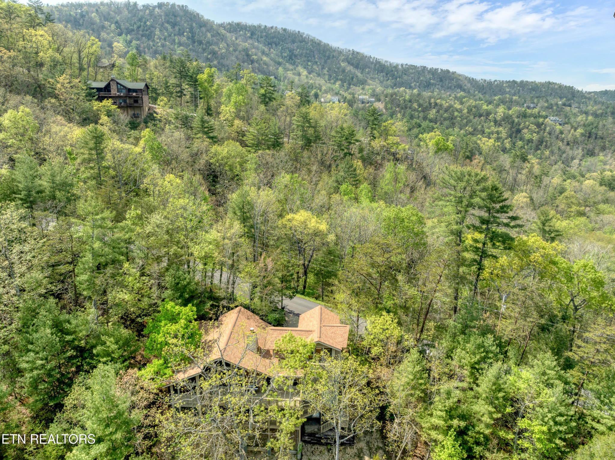 225 Kelly Ridge Road Townsend, TN 37882 - Photo 5 of 51
