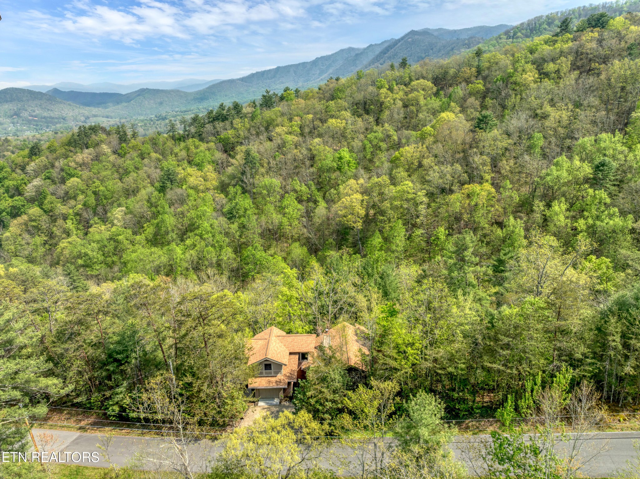 225 Kelly Ridge Road Townsend, TN 37882 - Photo 6 of 51