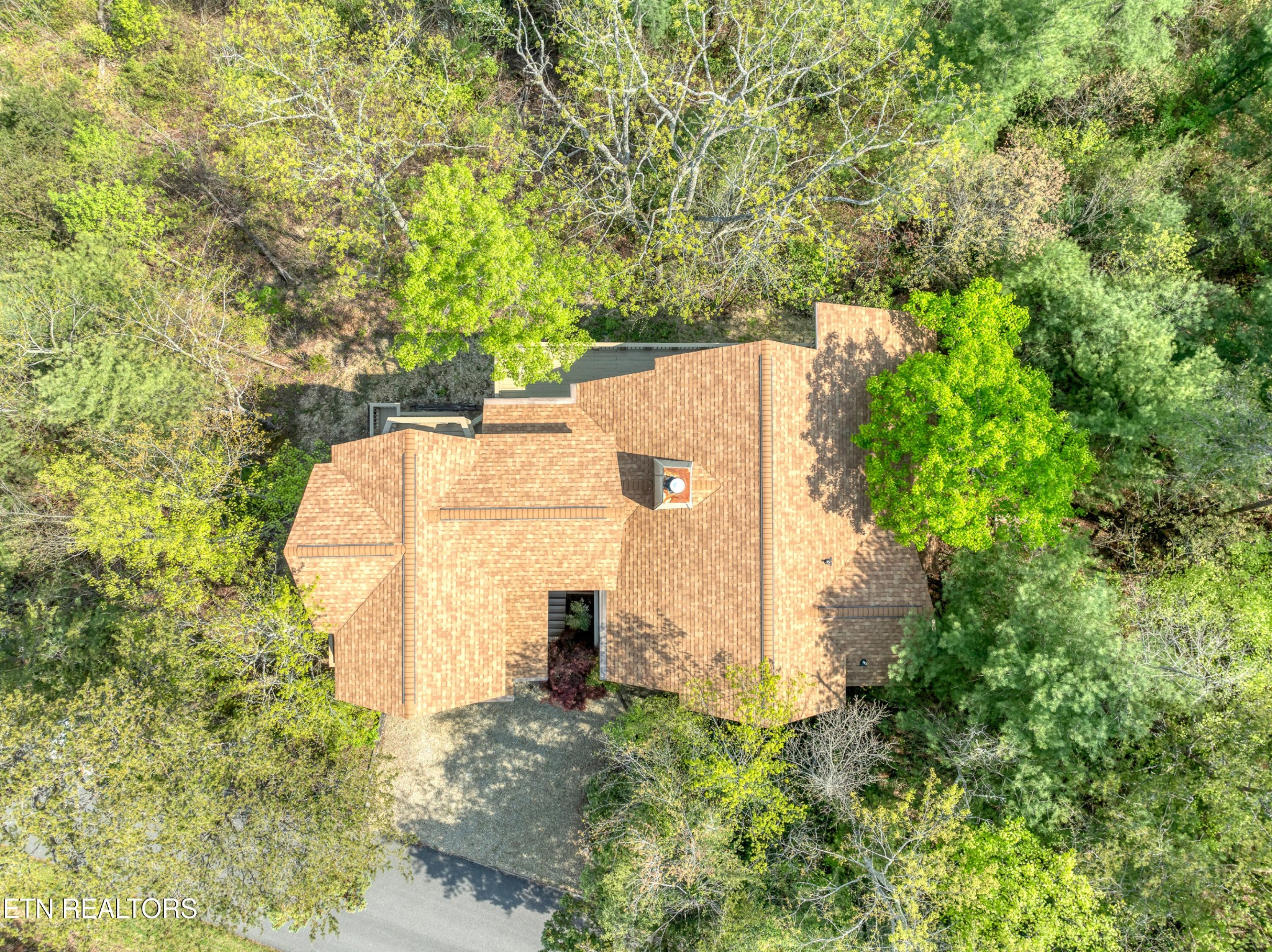 225 Kelly Ridge Road Townsend, TN 37882 - Photo 8 of 51