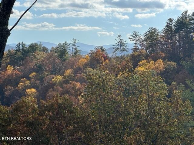 225 Kelly Ridge Road Townsend, TN 37882 - Photo 10 of 51