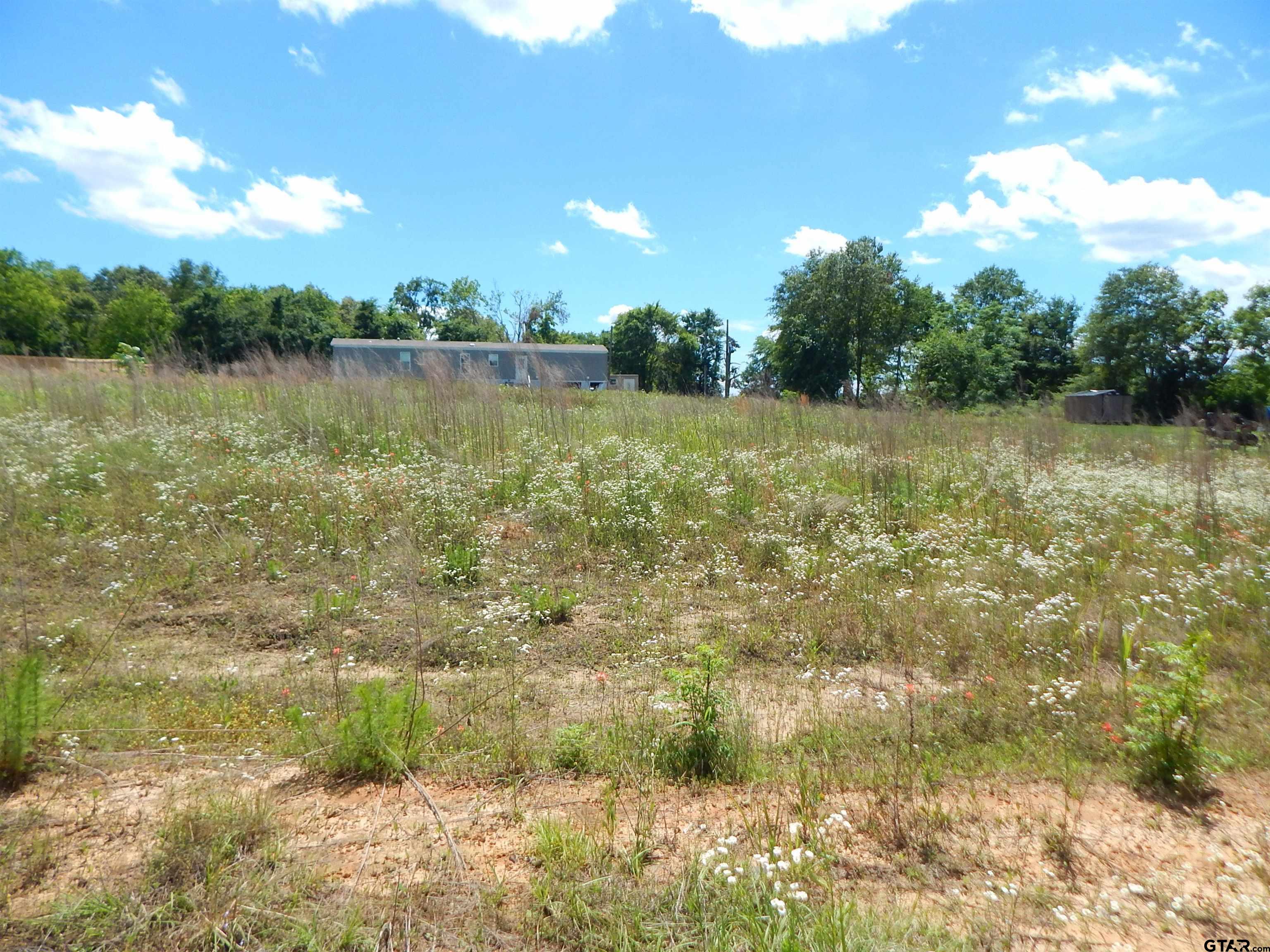 Tbd Tbd Road Gilmer, TX 75644 - Photo 2 of 7