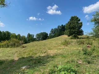 294 Hooster Run Road Wellington, KY 40387 - Photo 15 of 24 IMG_0748