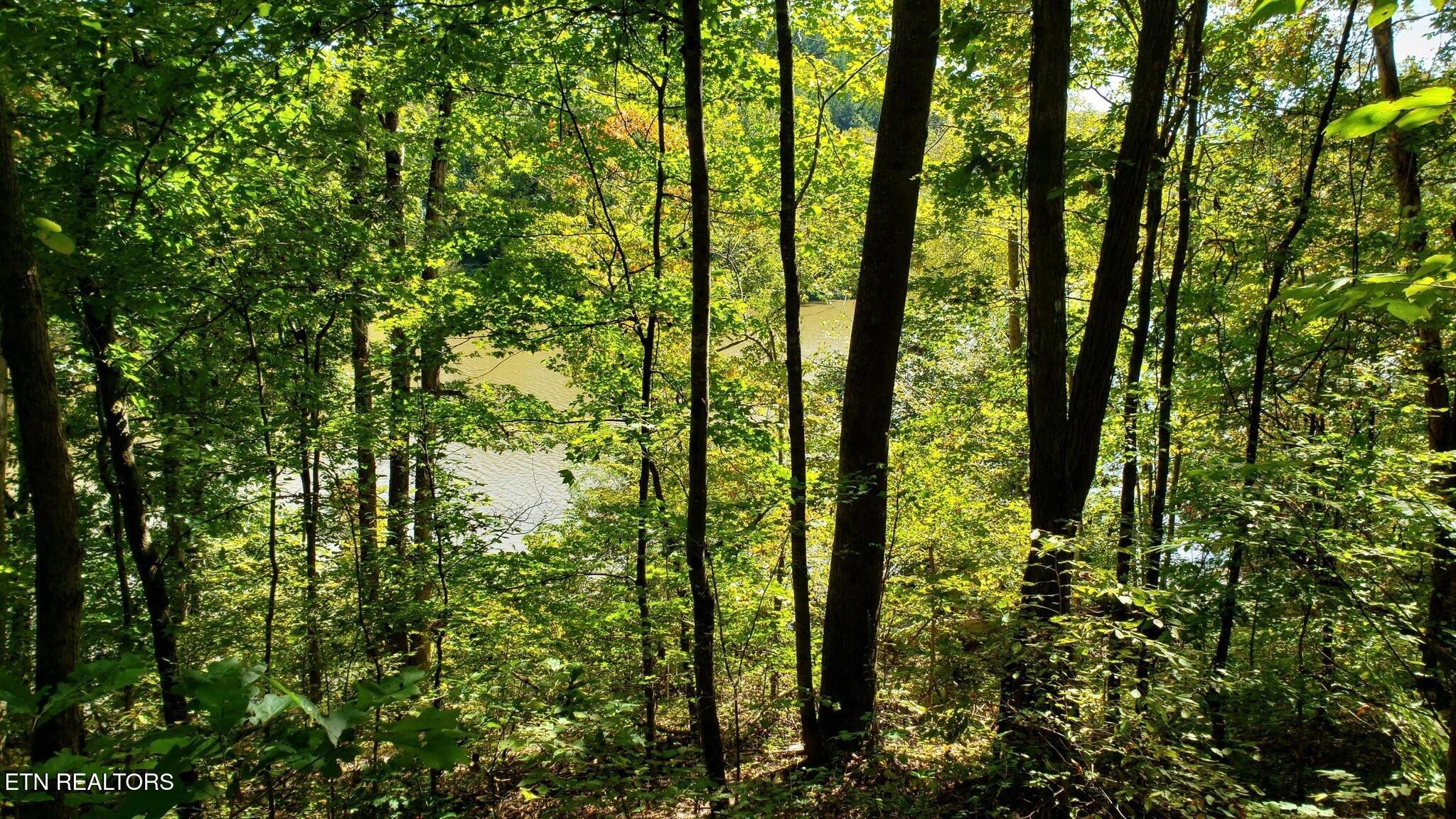 3 Three Point Road Vonore, TN 37885 - Photo 21 of 28 3 Point Road - Vonore - 11