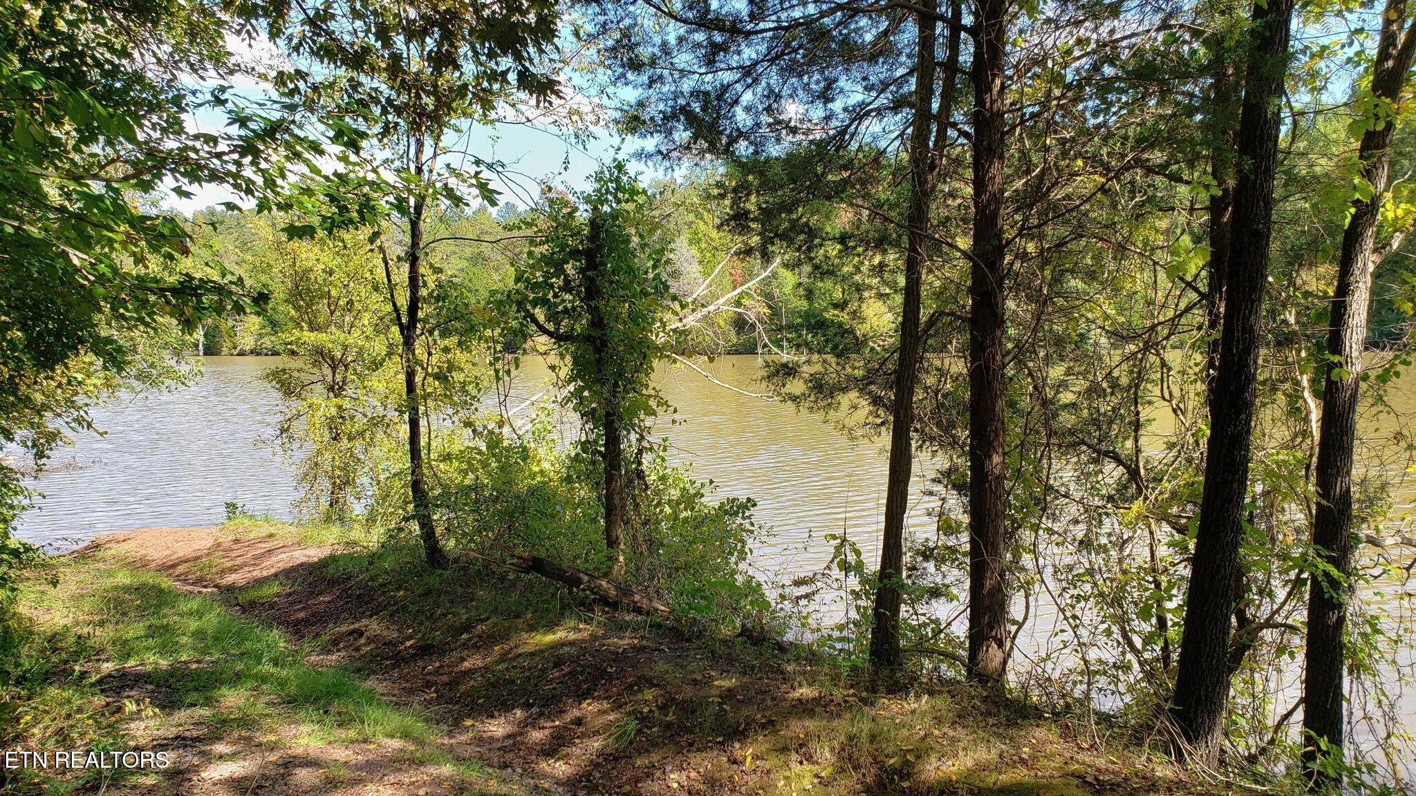 3 Three Point Road Vonore, TN 37885 - Photo 26 of 28 3 point road - Vonore 12