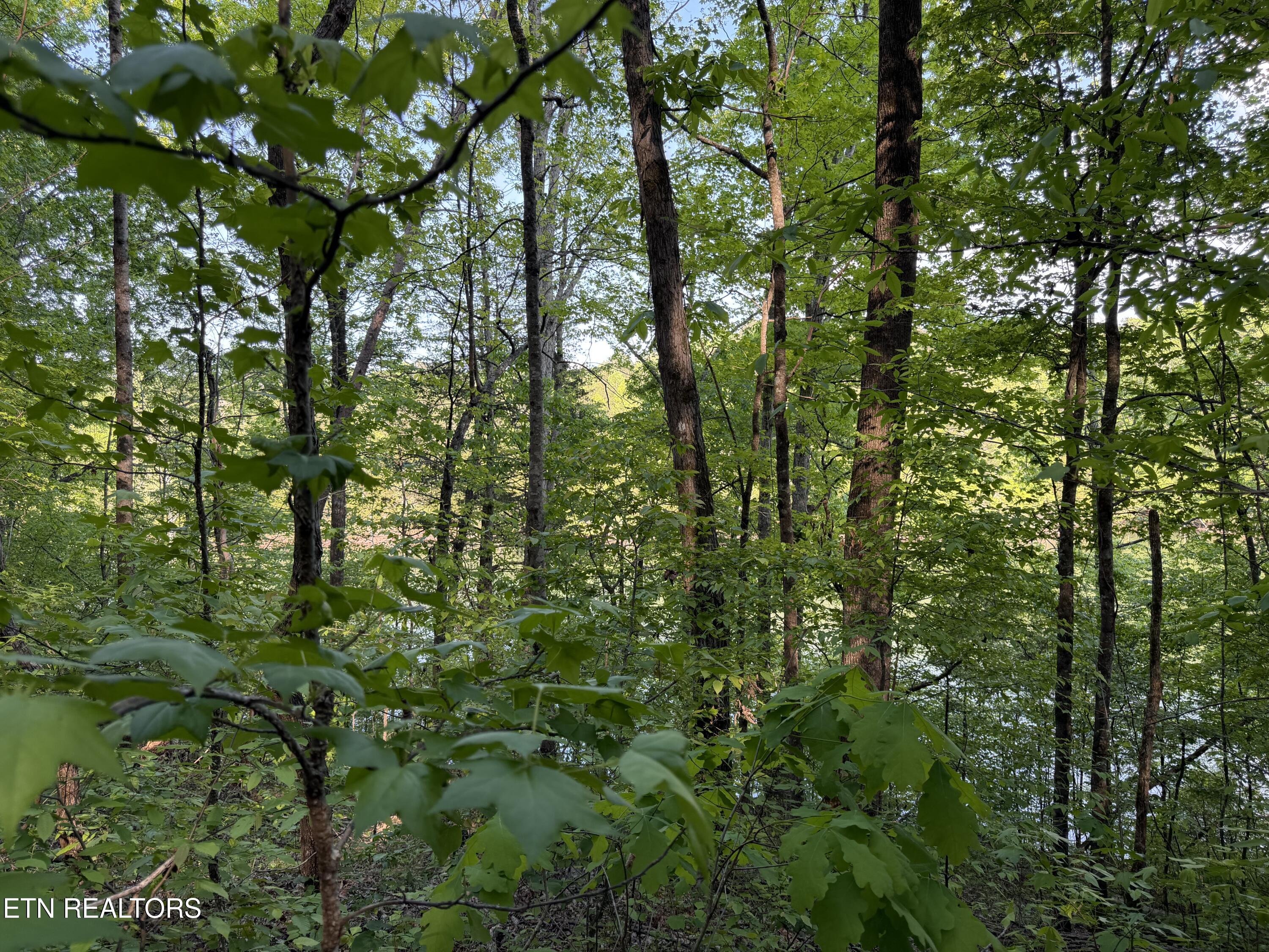 3 Three Point Road Vonore, TN 37885 - Photo 3 of 28 Private lot