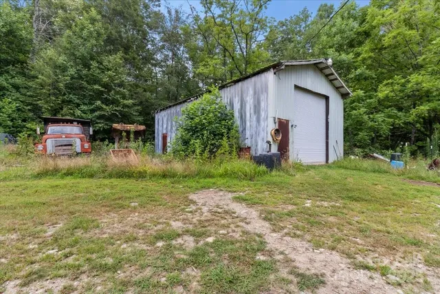 a backyard of a house with plants and large tree