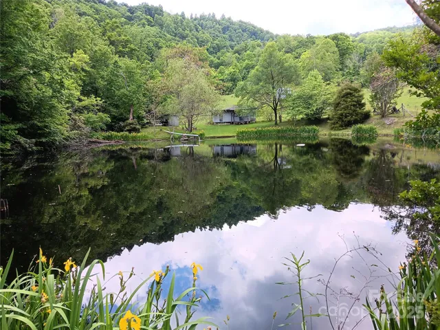 a view of a lake with a yard