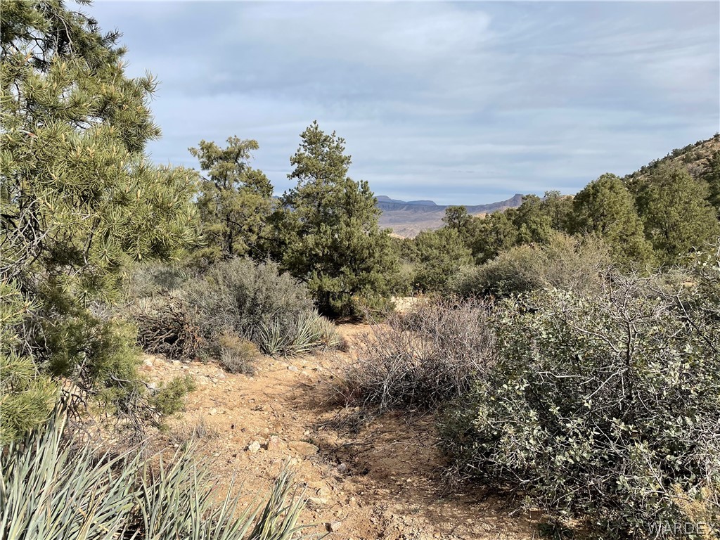 0 North Christmas Tree Road Hackberry, AZ 86411 - Photo 1 of 17 Gallery Image 1