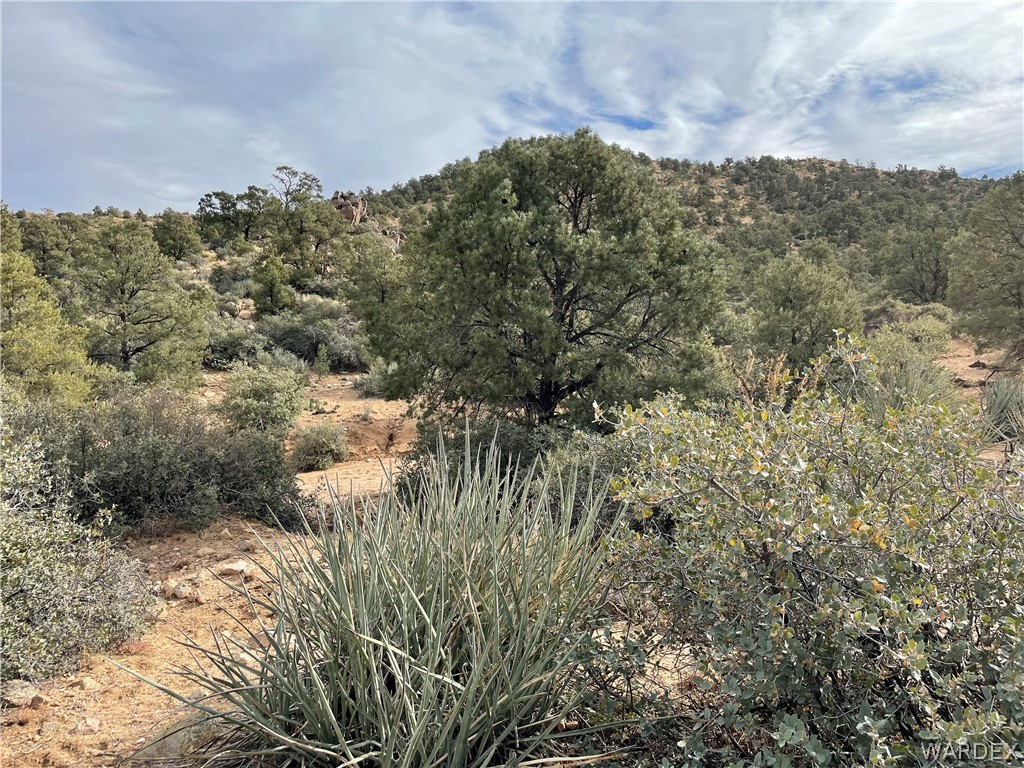 0 North Christmas Tree Road Hackberry, AZ 86411 - Photo 13 of 17 Gallery Image 13