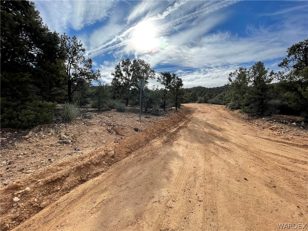 0 North Christmas Tree Road Hackberry, AZ 86411 - Photo 3 of 17 Gallery Image 3