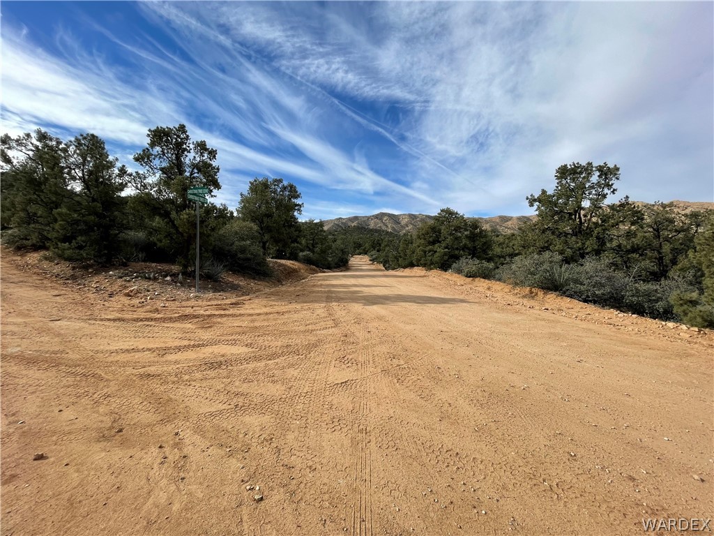 0 North Christmas Tree Road Hackberry, AZ 86411 - Photo 4 of 17 Gallery Image 4