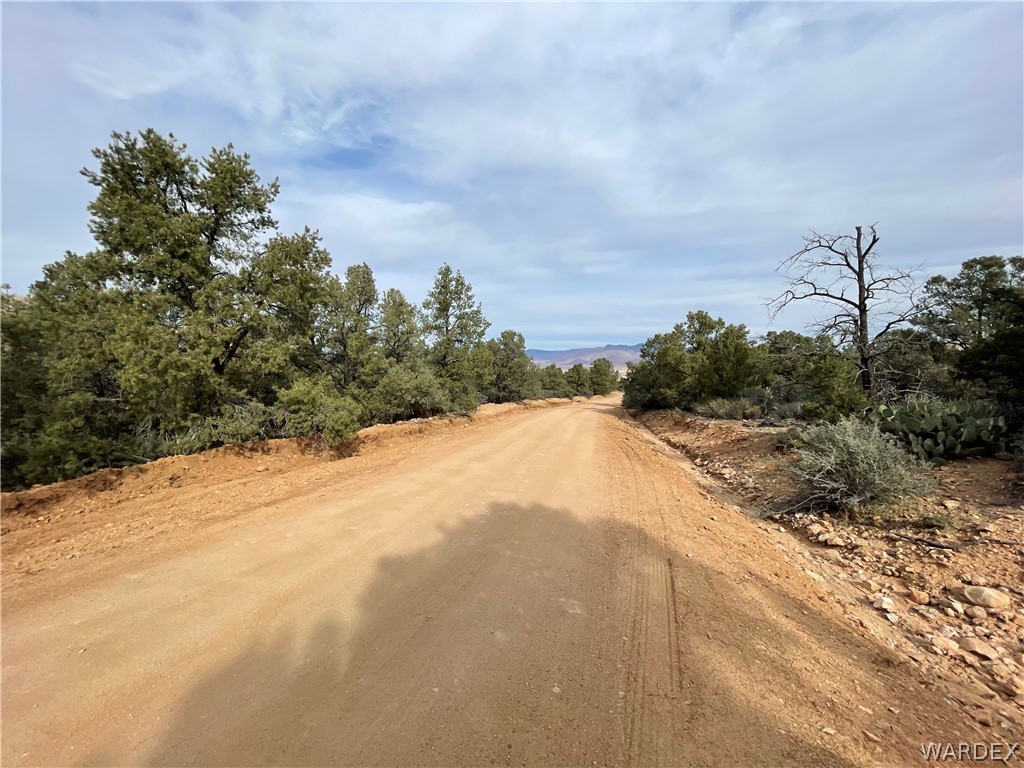 0 North Christmas Tree Road Hackberry, AZ 86411 - Photo 5 of 17 Gallery Image 5