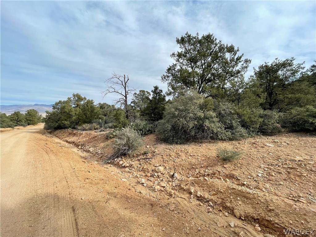 0 North Christmas Tree Road Hackberry, AZ 86411 - Photo 6 of 17 Gallery Image 6